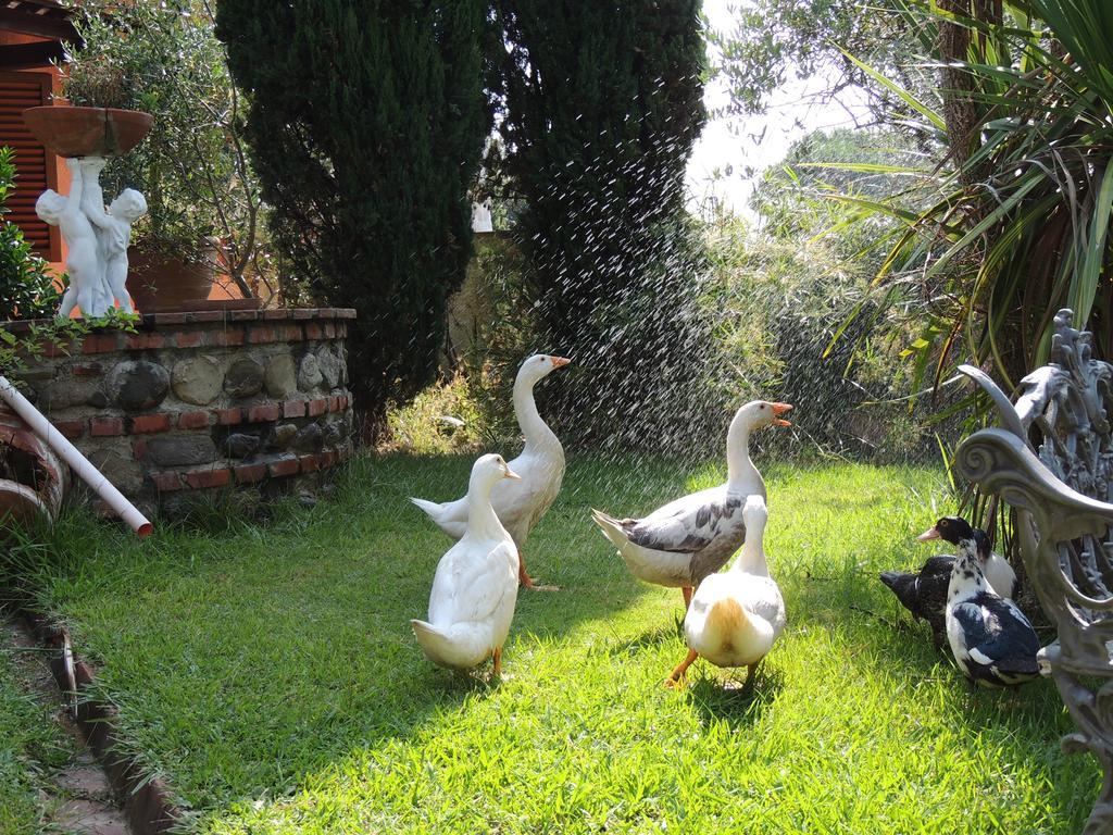 Il Cipresso Del Gallo Montecatini Terme Eksteriør billede
